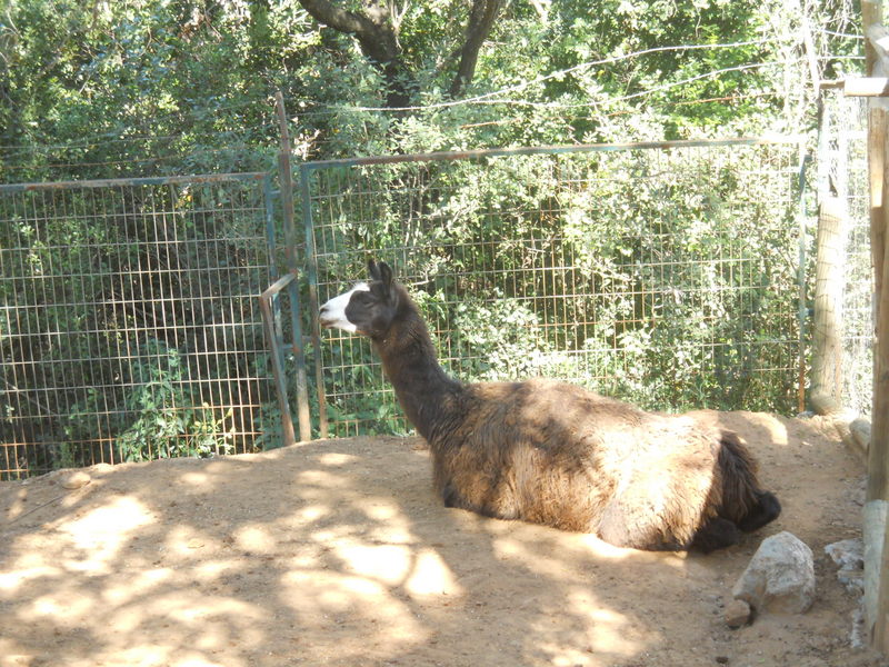 Foto: Quilpue - Quilpue (Valparaíso), Chile