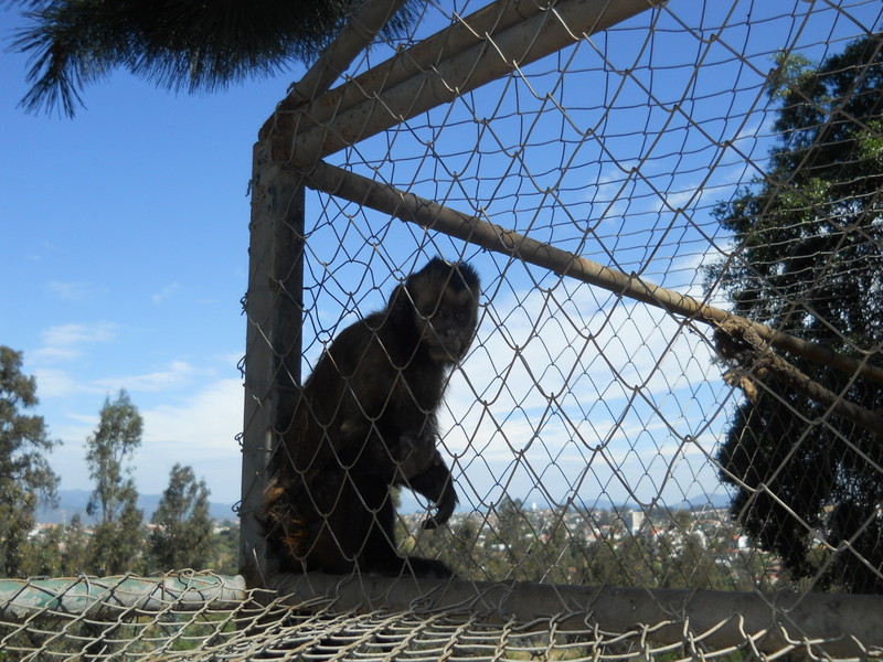 Foto: Quilpue - Quilpue (Valparaíso), Chile
