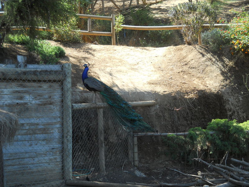 Foto: Quilpue - Quilpue (Valparaíso), Chile
