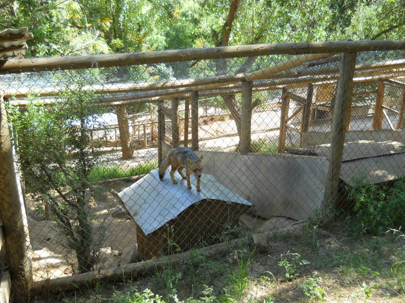 Foto: Quilpue - Quilpue (Valparaíso), Chile