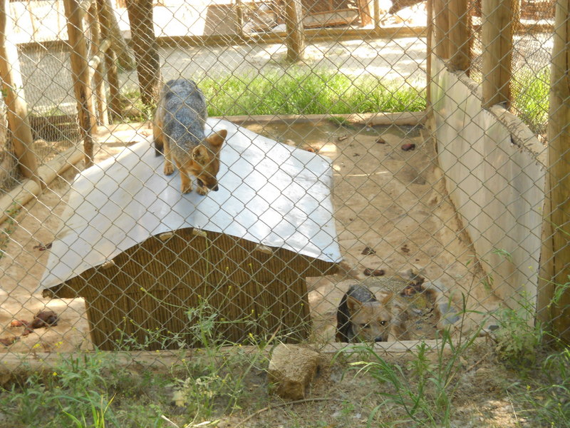 Foto: Quilpue - Quilpue (Valparaíso), Chile