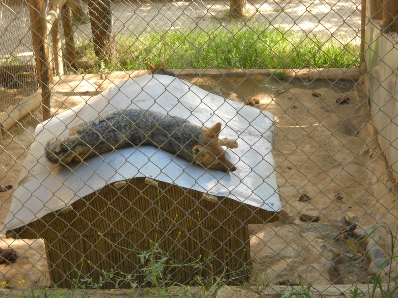 Foto: Quilpue - Quilpue (Valparaíso), Chile