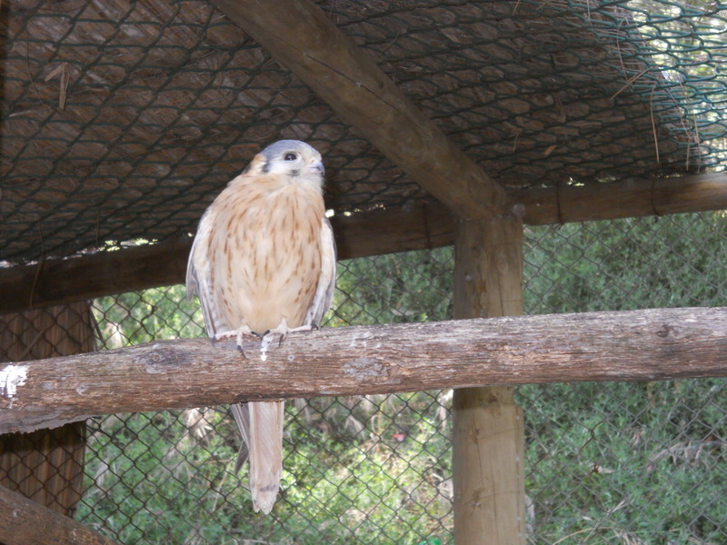 Foto: Quilpue - Quilpue (Valparaíso), Chile