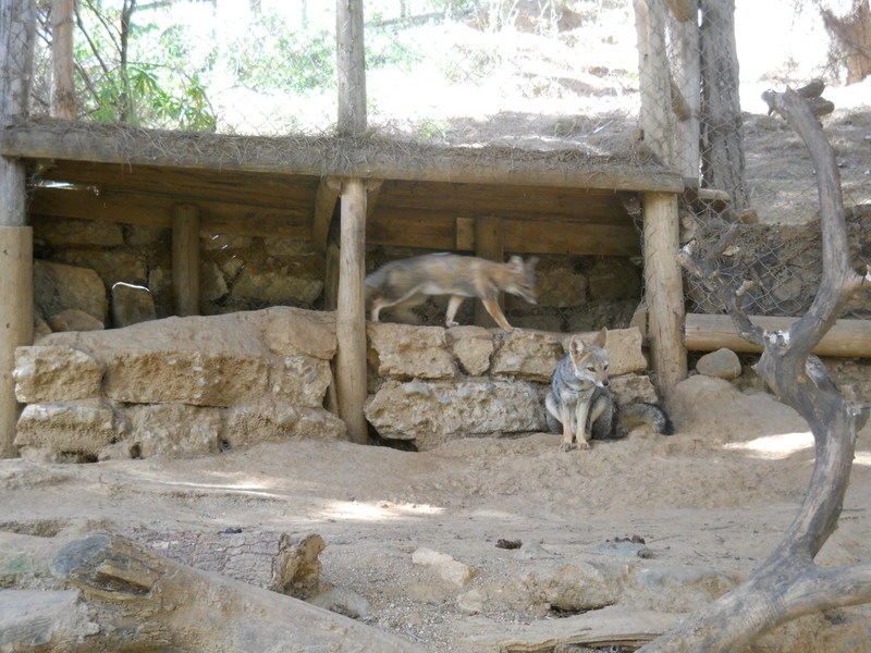 Foto: Quilpue - Quilpue (Valparaíso), Chile