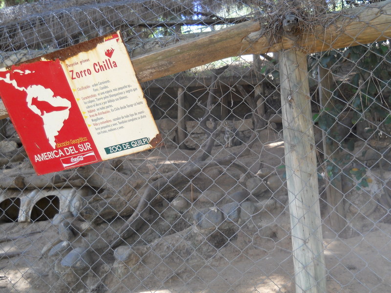 Foto: Quilpue - Quilpue (Valparaíso), Chile