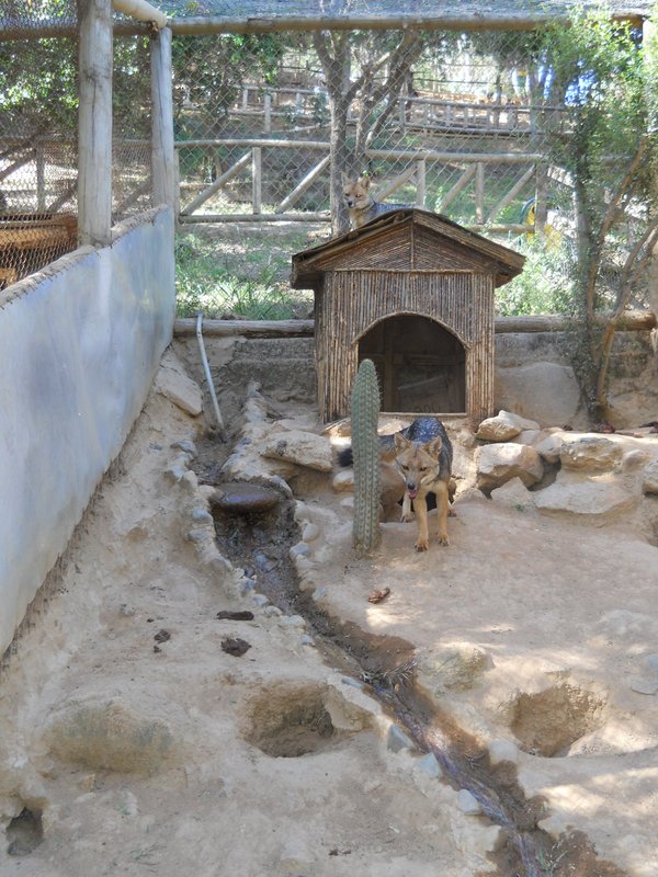 Foto: Quilpue - Quilpue (Valparaíso), Chile