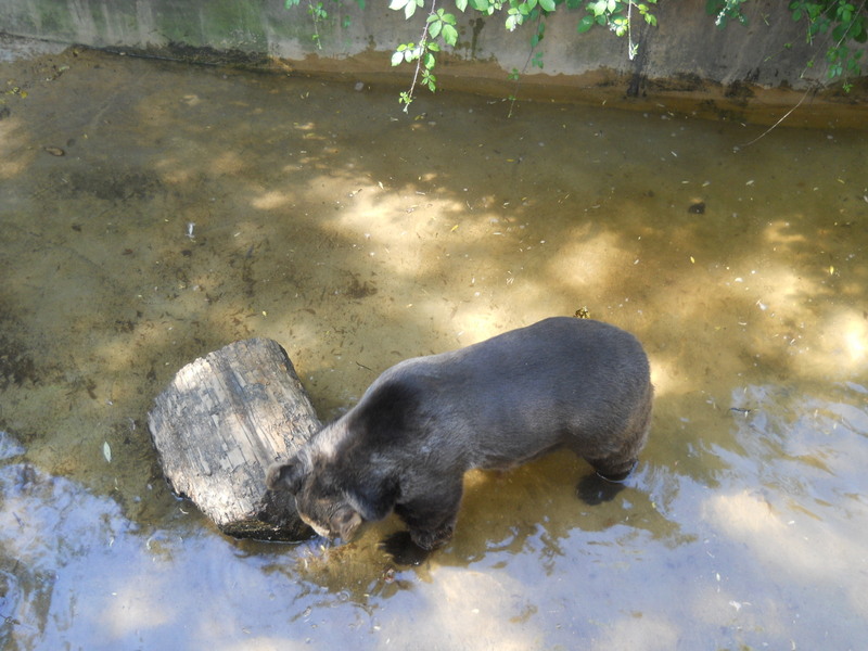 Foto: Quilpue - Quilpue (Valparaíso), Chile
