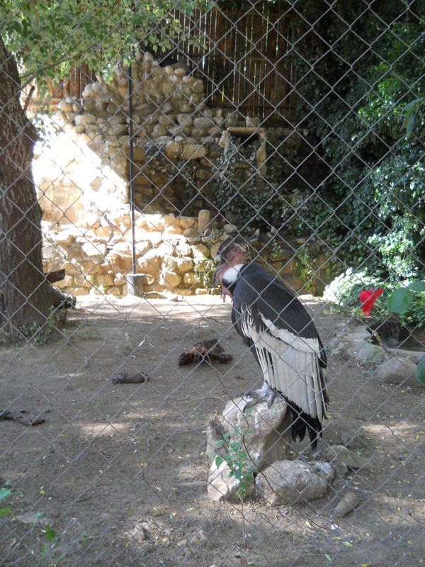 Foto: Quilpue - Quilpue (Valparaíso), Chile