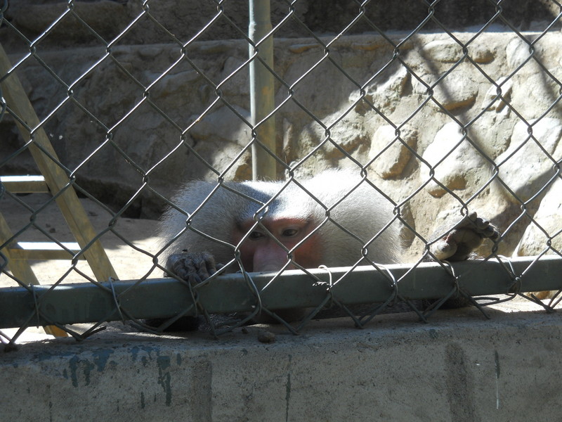 Foto: Quilpue - Quilpue (Valparaíso), Chile