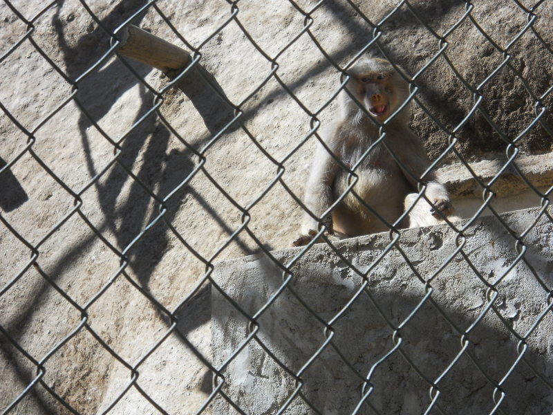 Foto: Quilpue - Quilpue (Valparaíso), Chile