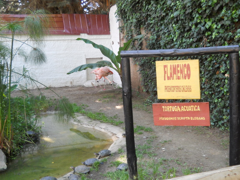 Foto: Quilpue - Quilpue (Valparaíso), Chile