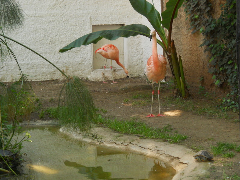 Foto: Quilpue - Quilpue (Valparaíso), Chile
