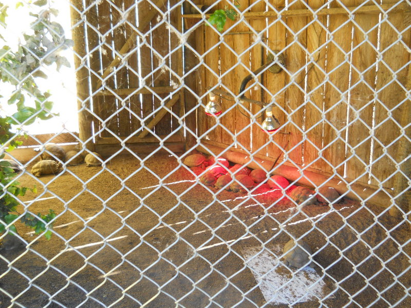 Foto: Quilpue - Quilpue (Valparaíso), Chile