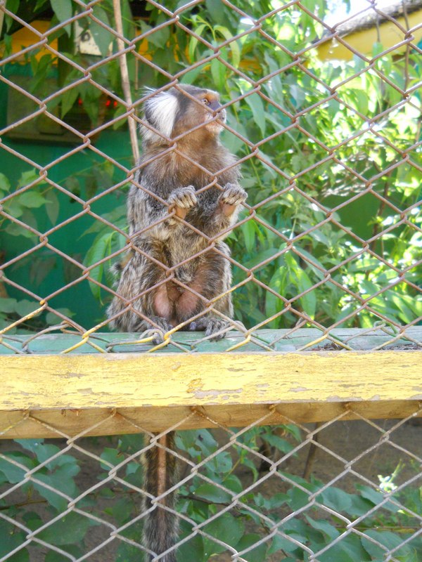 Foto: Quilpue - Quilpue (Valparaíso), Chile
