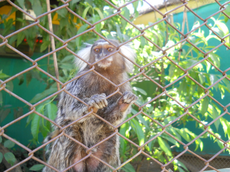 Foto: Quilpue - Quilpue (Valparaíso), Chile