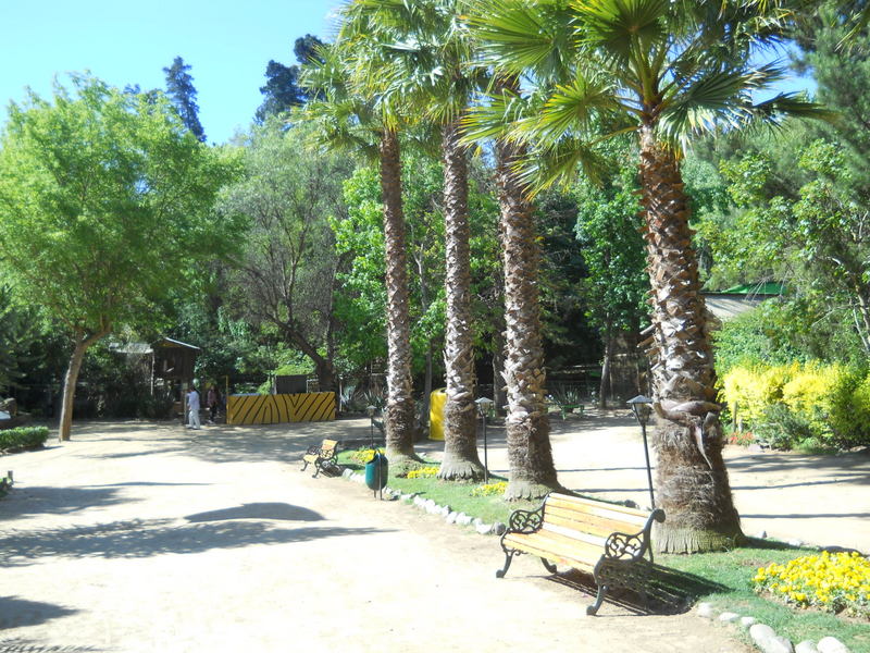 Foto: Quilpue - Quilpue (Valparaíso), Chile