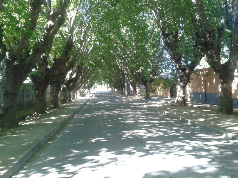 Foto: Limache - Limache (Valparaíso), Chile
