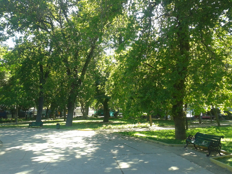 Foto: Limache - Limache (Valparaíso), Chile