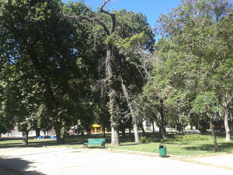 Foto: Limache - Limache (Valparaíso), Chile