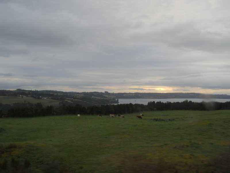 Foto: Queilen - Queilen (Los Lagos), Chile