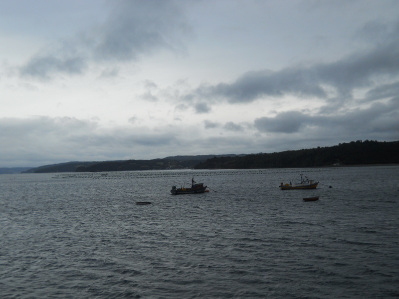 Foto: Queilen - Queilen (Los Lagos), Chile
