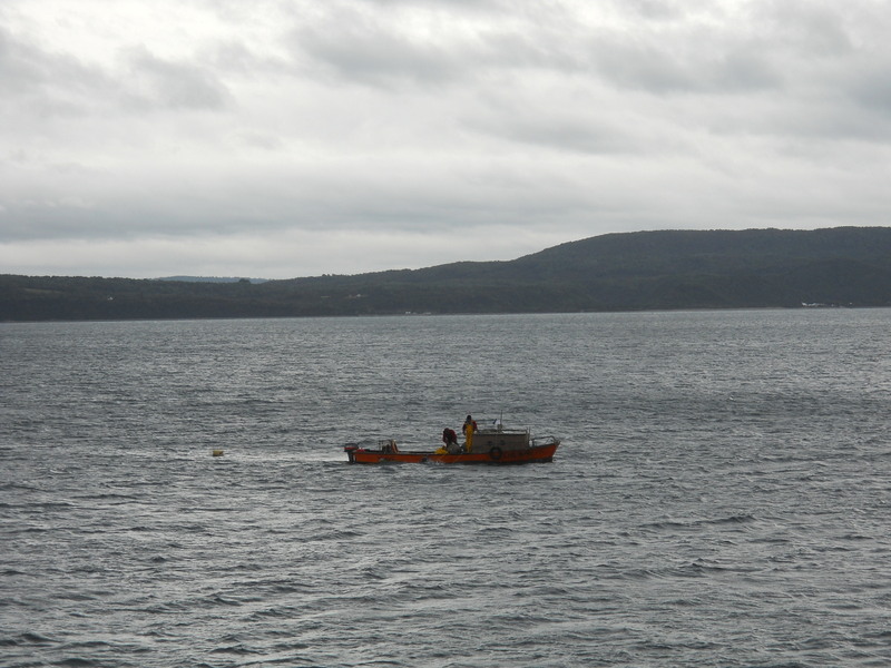 Foto: Queilen - Queilen (Los Lagos), Chile