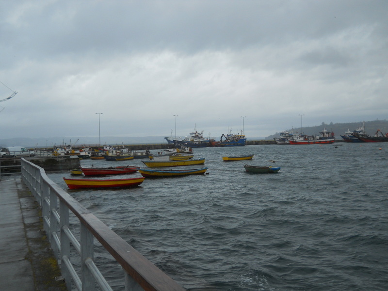 Foto: Chonchi - Chonchi (Los Lagos), Chile