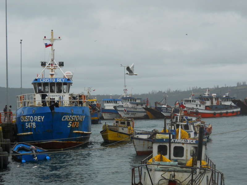 Foto: Chonchi - Chonchi (Los Lagos), Chile