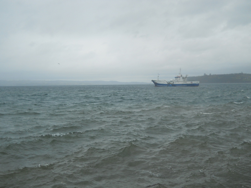 Foto: Chonchi - Chonchi (Los Lagos), Chile