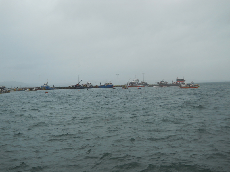 Foto: Chonchi - Chonchi (Los Lagos), Chile