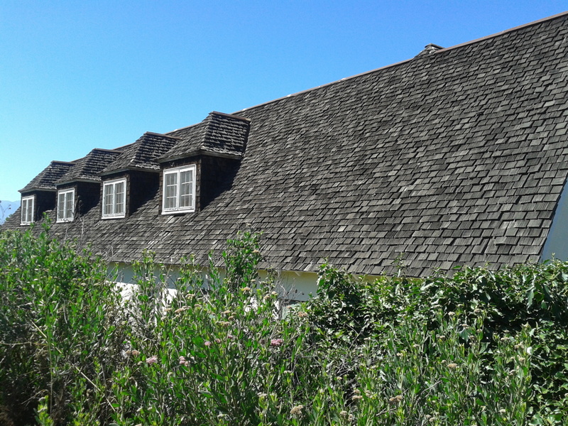 Foto: Limache - Limache (Valparaíso), Chile