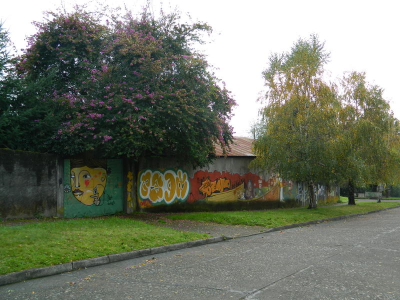 Foto: Villarrica - Villarrica (Araucanía), Chile