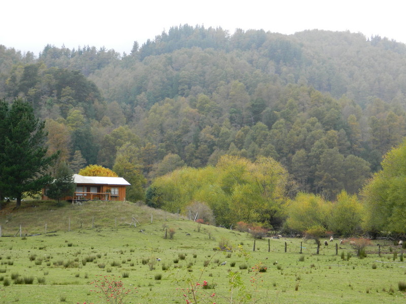 Foto: Curarrehue - Curarrehue (Araucanía), Chile