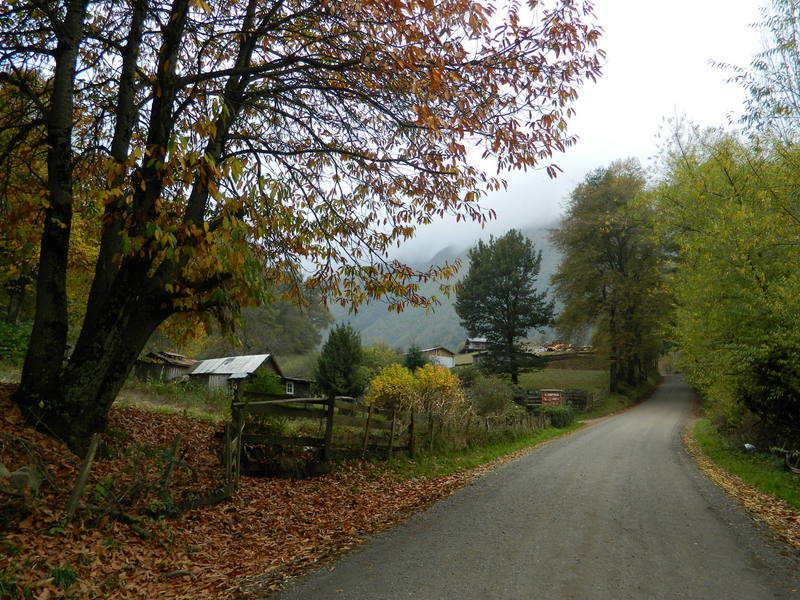 Foto: Curarrehue - Curarrehue (Araucanía), Chile
