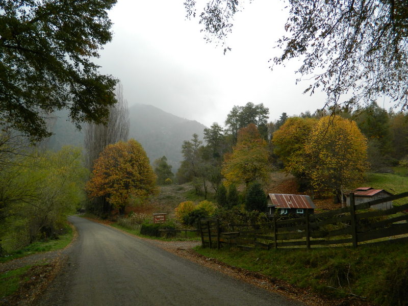 Foto: Curarrehue - Curarrehue (Araucanía), Chile