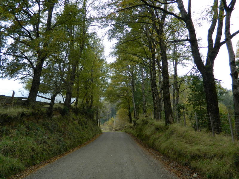 Foto: Curarrehue - Curarrehue (Araucanía), Chile