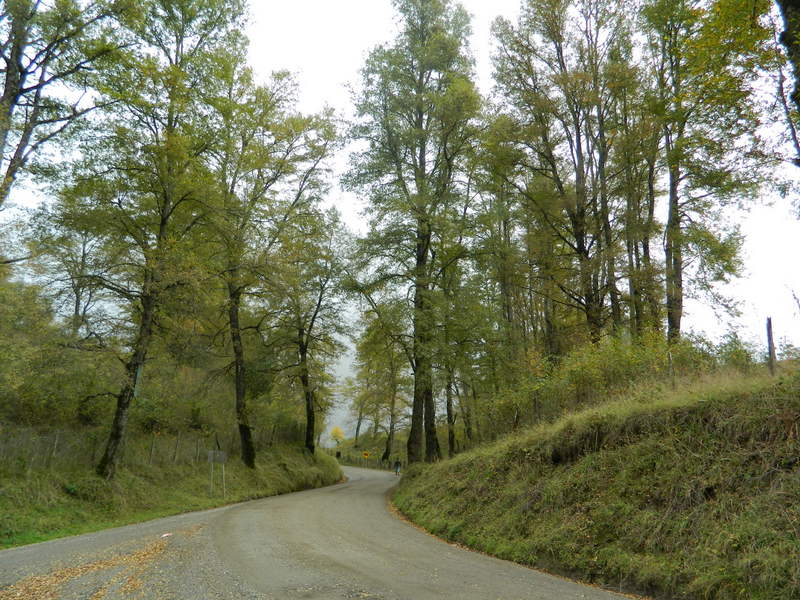 Foto: Curarrehue - Curarrehue (Araucanía), Chile