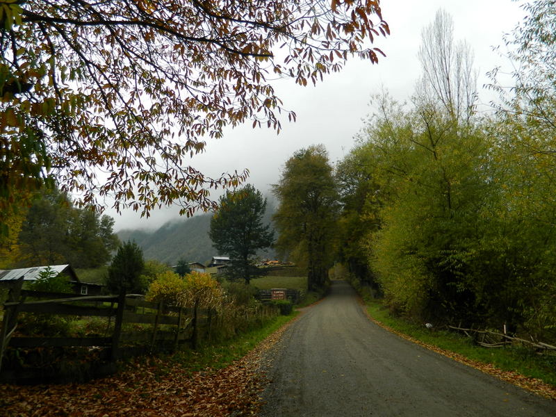 Foto: Curarrehue - Curarrehue (Araucanía), Chile