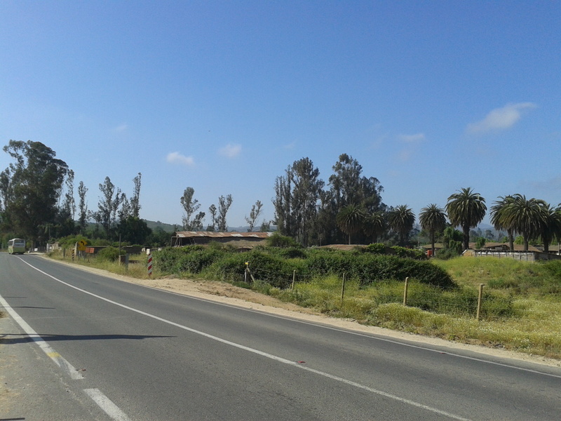 Foto: Quilpue - Quilpue (Valparaíso), Chile