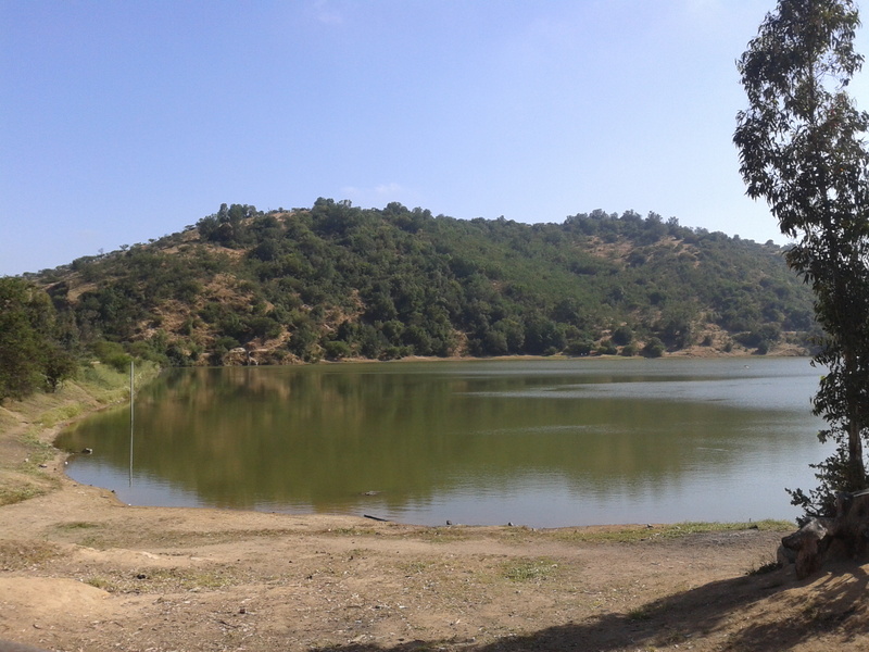 Foto: Quilpue - Quilpue (Valparaíso), Chile