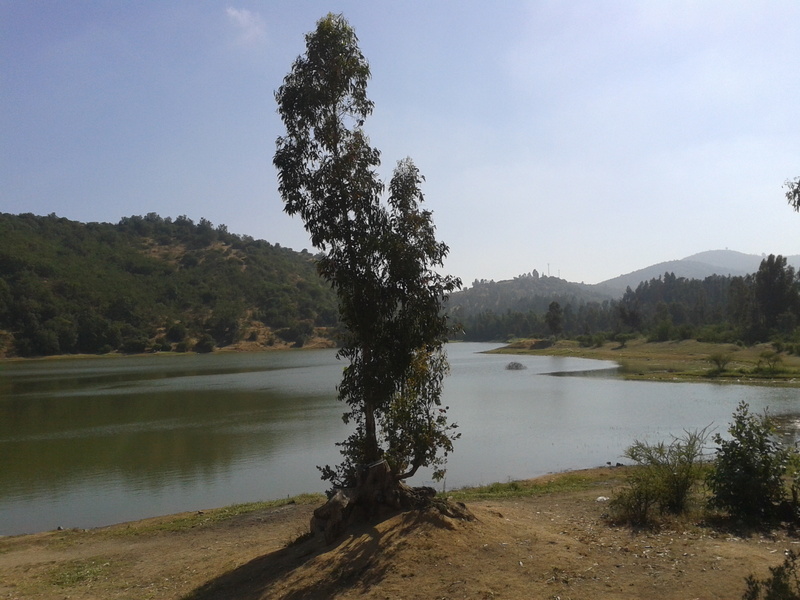 Foto: Quilpue - Quilpue (Valparaíso), Chile