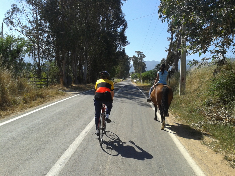 Foto: Quilpue - Quilpue (Valparaíso), Chile