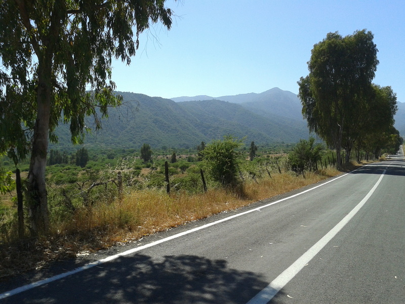 Foto: Quilpue - Quilpue (Valparaíso), Chile