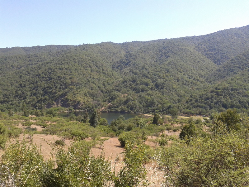 Foto: Quilpue - Quilpue (Valparaíso), Chile