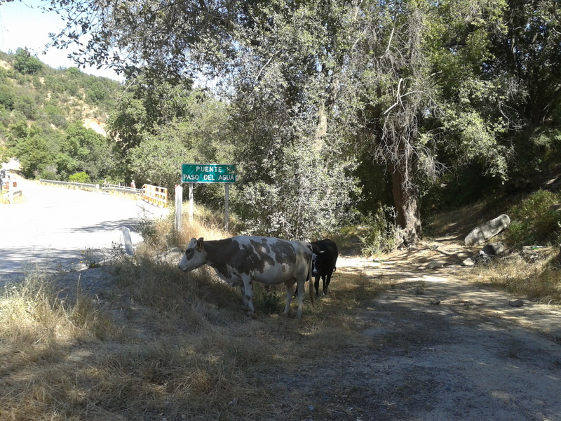 Foto: Quilpue - Quilpue (Valparaíso), Chile