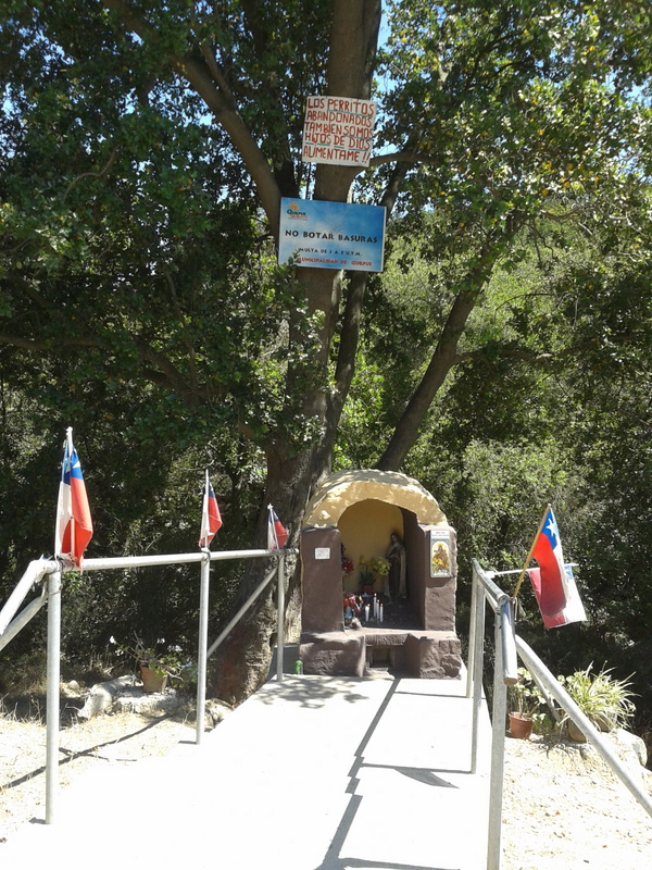 Foto: Quilpue - Quilpue (Valparaíso), Chile