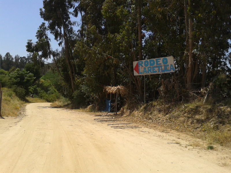 Foto: Quilpue - Quilpue (Valparaíso), Chile