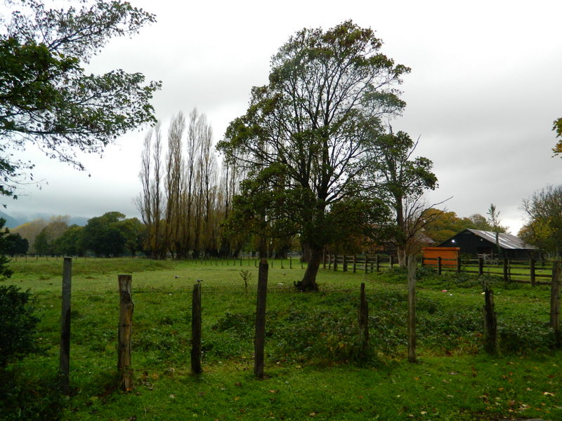 Foto: pucon - Pucon (Araucanía), Chile