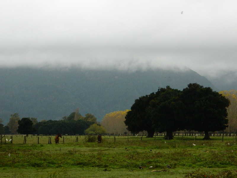 Foto: Pucon - Pucon (Araucanía), Chile