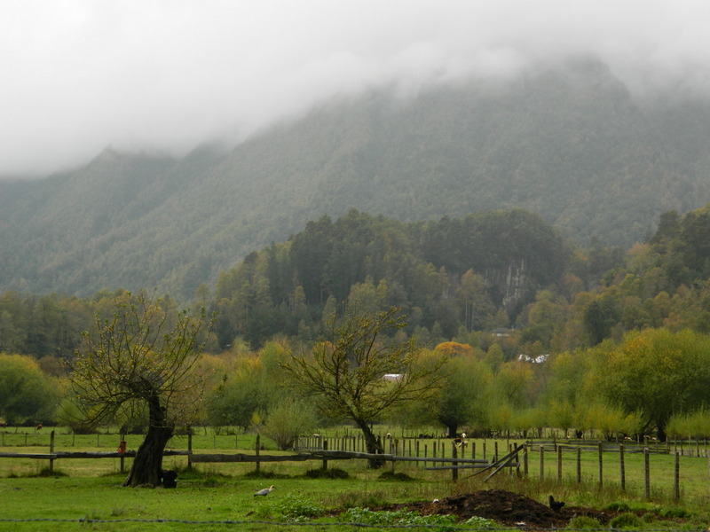 Foto: Curarrehue - Curarrehue (Araucanía), Chile